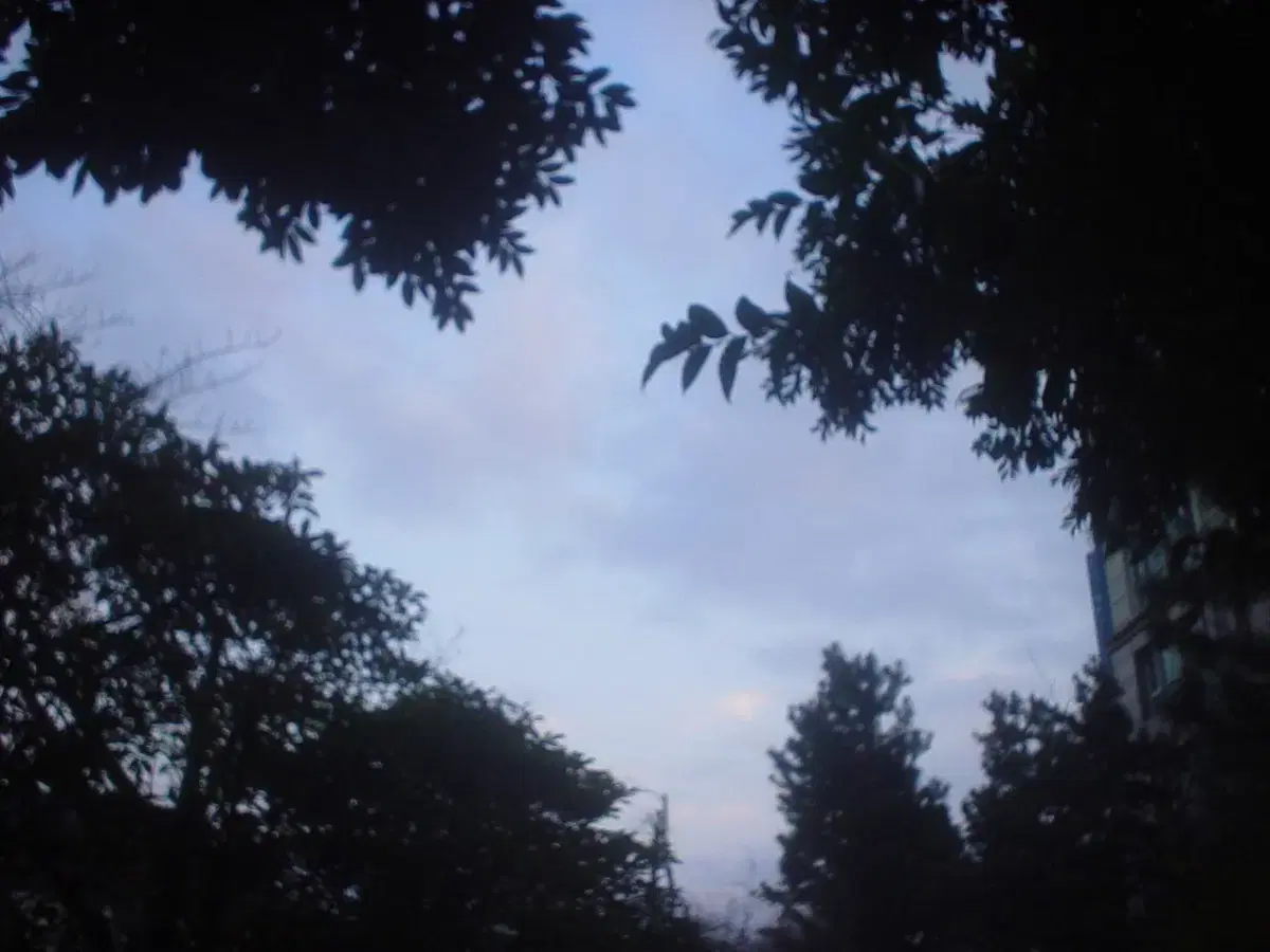 thumbnail-8